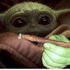 chahalidan thumbnail