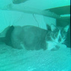 gabe0808 thumbnail