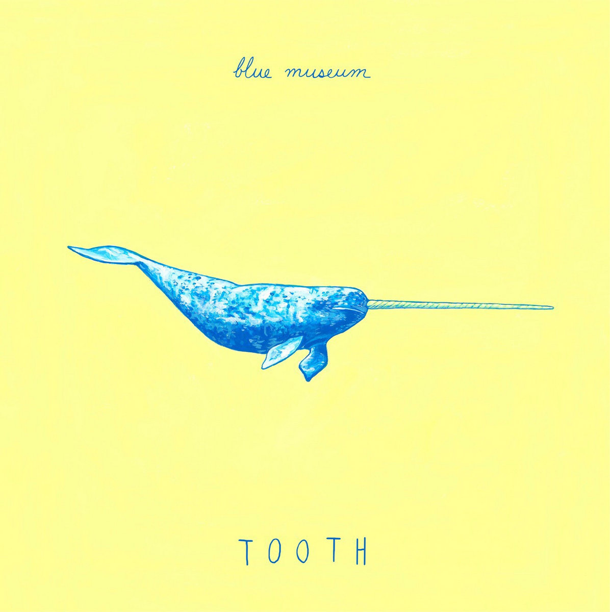 TOOTH | Blue Museum TOOTH | Blue Museum