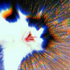 BusterAK thumbnail