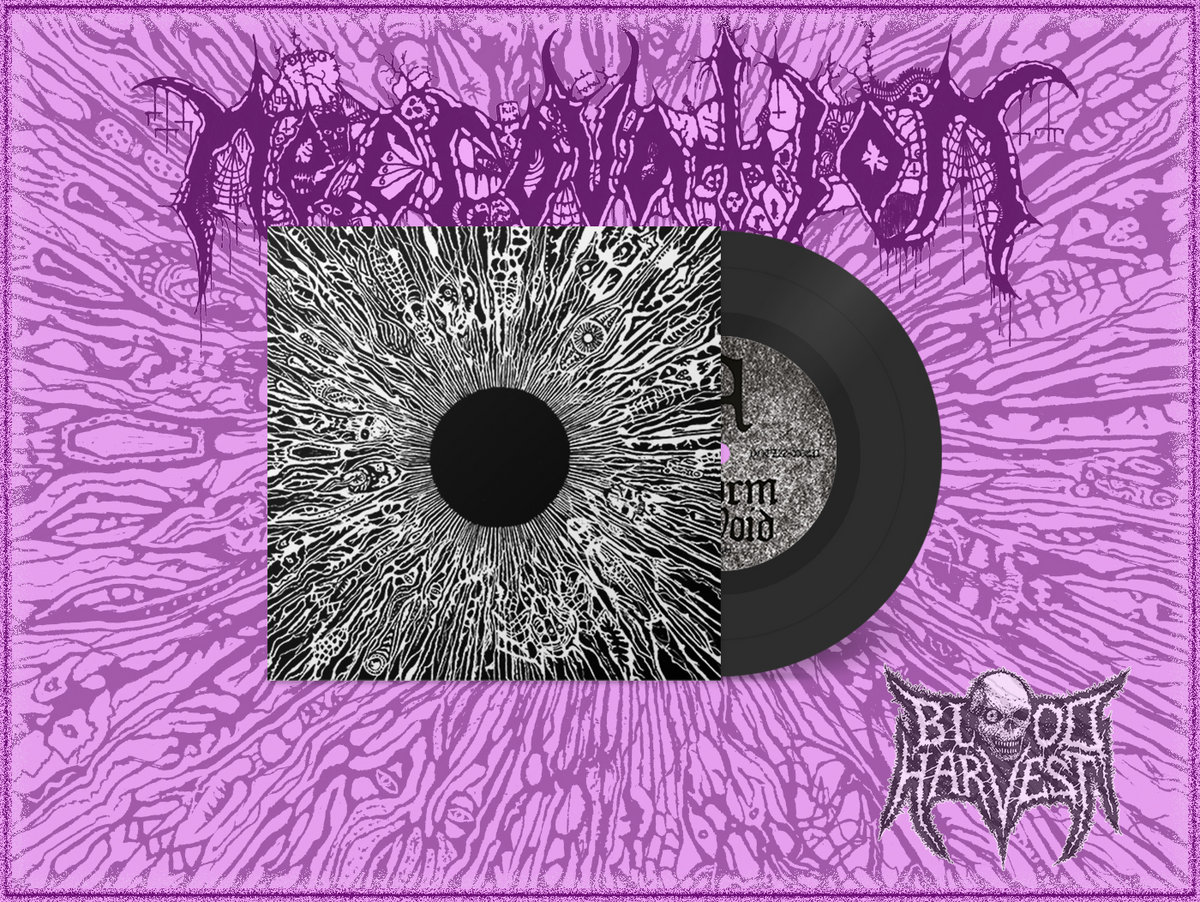 Storm the Void / Starving Grave | NECROVATION | Blood Harvest