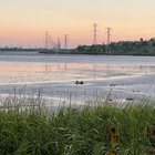 Songs Of Resistance 1942 2018 Marc Ribot