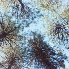 gagagarber thumbnail