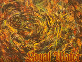 Royal Water Full Color Album Cover Print photo 
