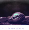 Snake Charm School image