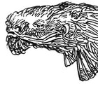 glowtoad thumbnail