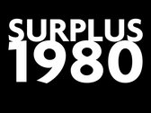 Surplus 1980 Sticker pair photo 