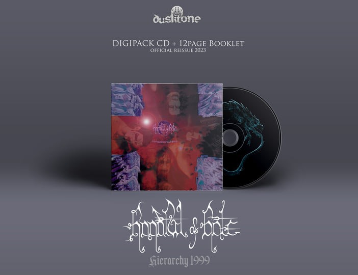 その他 Abundance Mindset CD GST Abundance Mindset CD