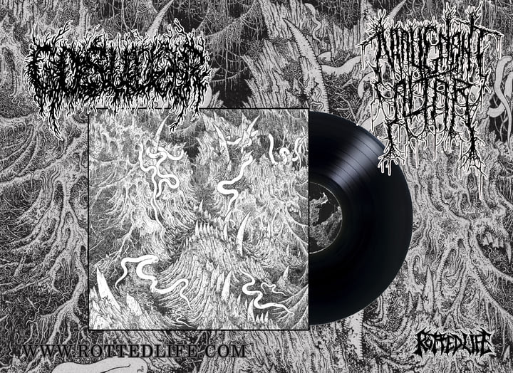 Gosudar/Malignant Altar Split | Gosudar/Malignant Altar | Rotted Life