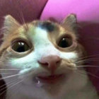 shoak thumbnail
