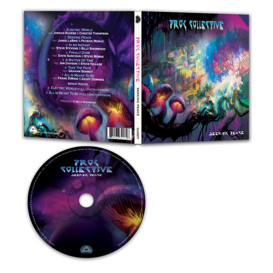 Seeking Peace | The Prog Collective