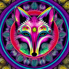 Mark Fox thumbnail