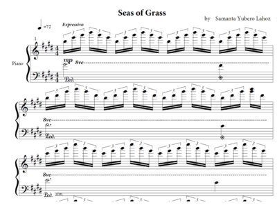 Seas of Grass - Piano Sheet main photo