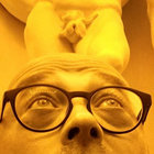 haurob thumbnail