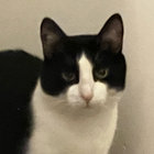 DJ Buddhakat thumbnail