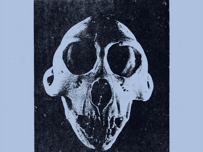 Controlled Bleeding Distress Signals Ii Vinyl Warehouse Finds