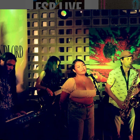 EARTH ROCKページです。 Limestone Rock 1