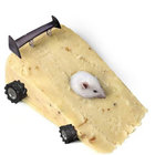 CheeseSpeeder thumbnail