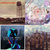 curlygoblin thumbnail