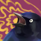 Barry Dingle thumbnail