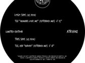 2 Vinyl Package (ATKV012 - ATKV013)+Autektone Stickers (New) photo 
