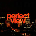 Perfect View Records image