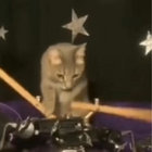 gaterkj thumbnail