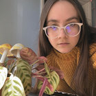 sararanderson thumbnail