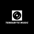Terrabyte Music image