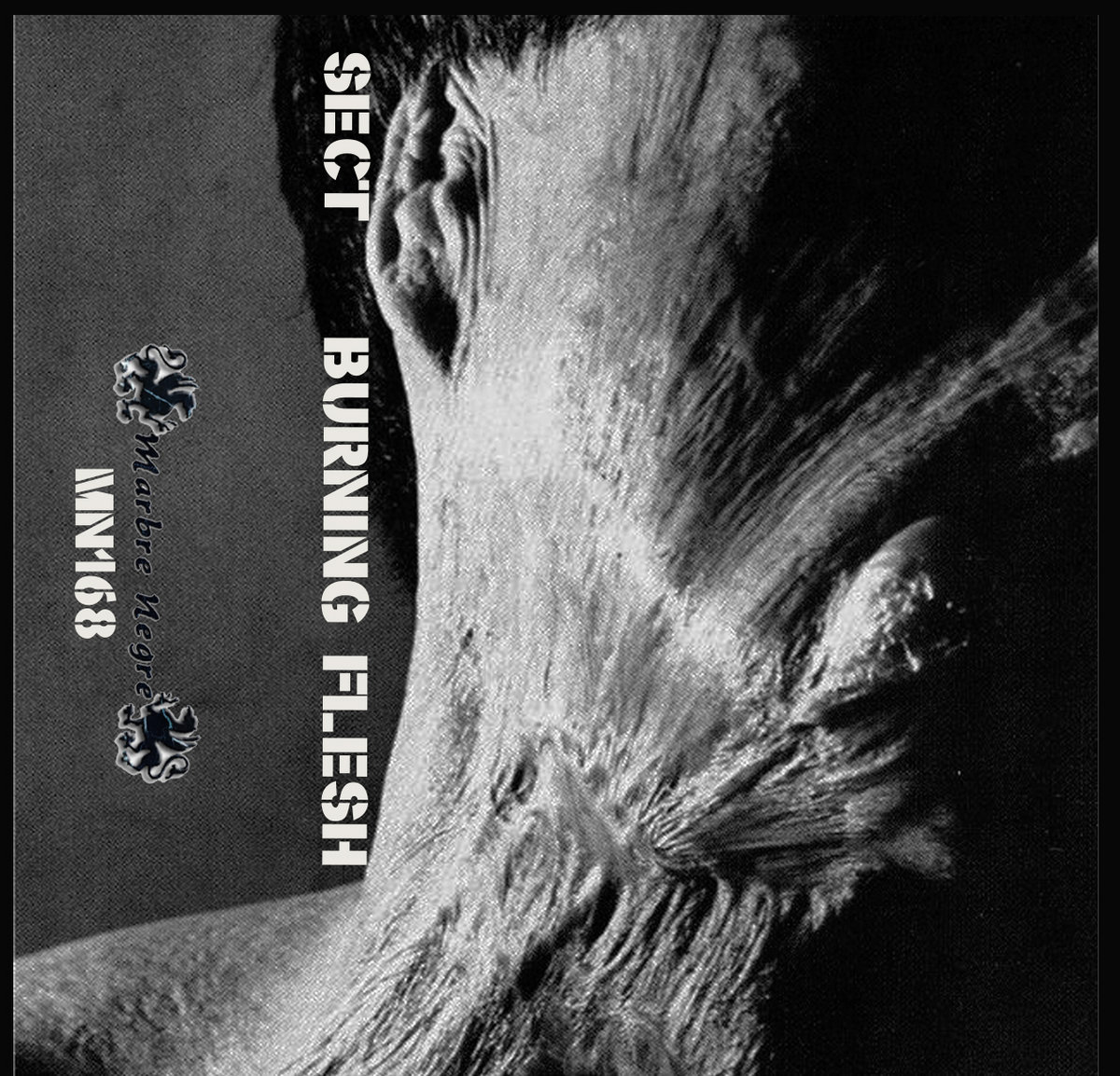 Burning Flesh Sect Marbre Negre