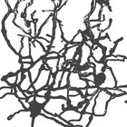 Richard Knox thumbnail