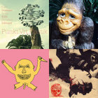 birdds thumbnail