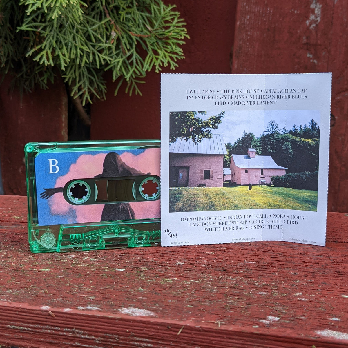 The Pink House | Ethan WL | Drongo Tapes