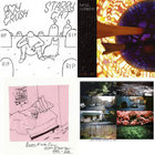 Young Prayer | Panda Bear