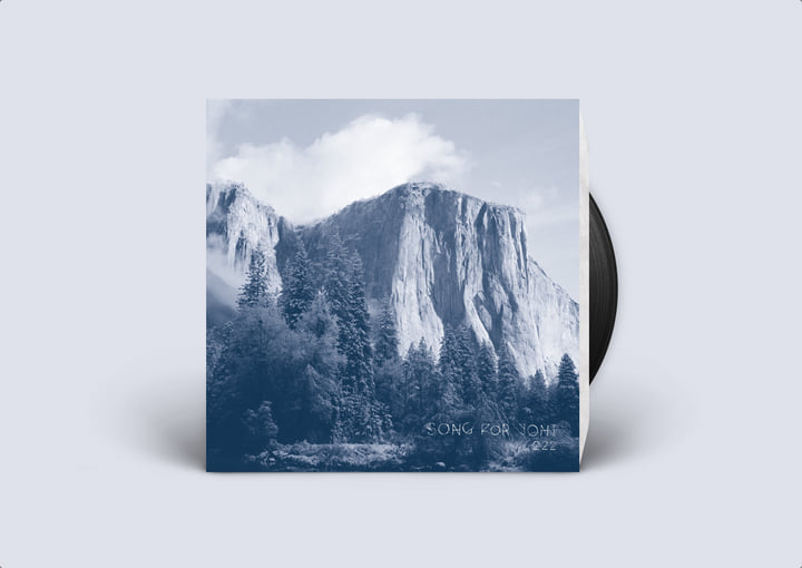 SONG FOR JONI 222 LPレコード Song For Joni | 222 | mulemusiq