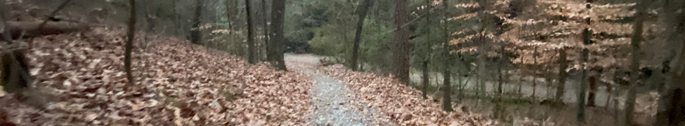 Strumbrush — Photo