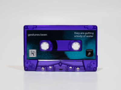 They Are Gutting a Body of Water - "gestures been" Cassette (ltd.25) main photo