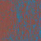 koko_lro thumbnail