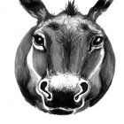 jackyakara thumbnail
