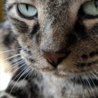 Liz thumbnail