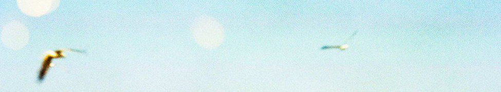 Sicaria Sound — Photo