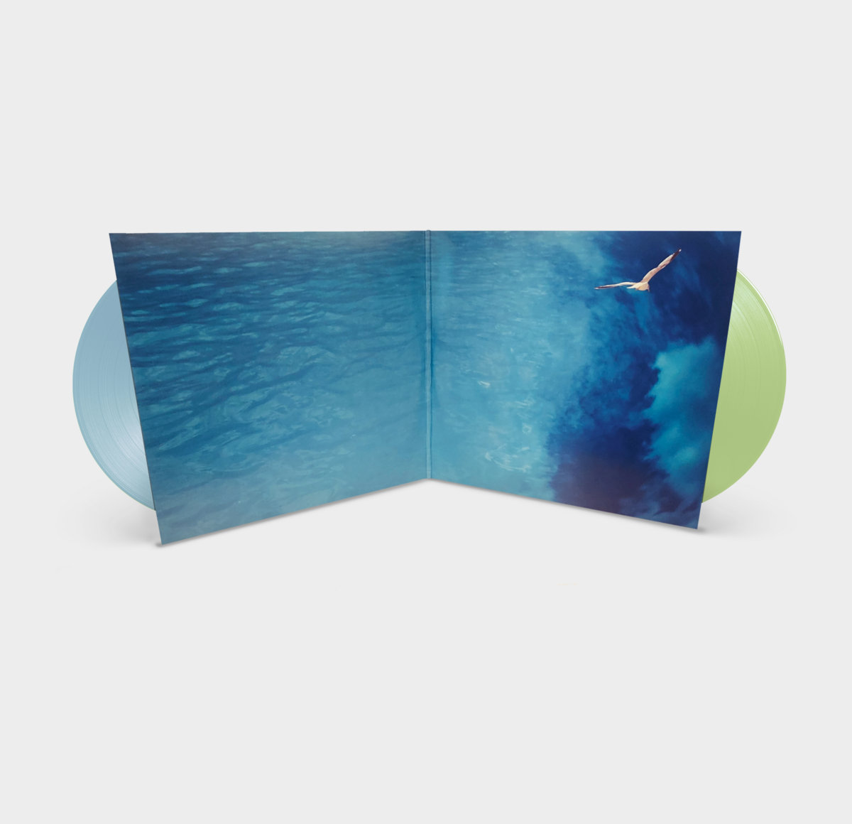 New Rock | Buffalo Daughter