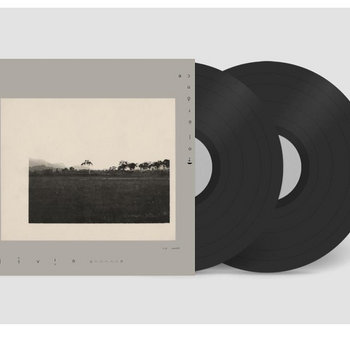 The Infinite Reflections of Vanity Records | Bandcamp Daily