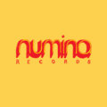Numina Records image