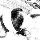 xosita thumbnail