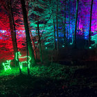 weirdwoods thumbnail