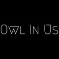 Owl In Us