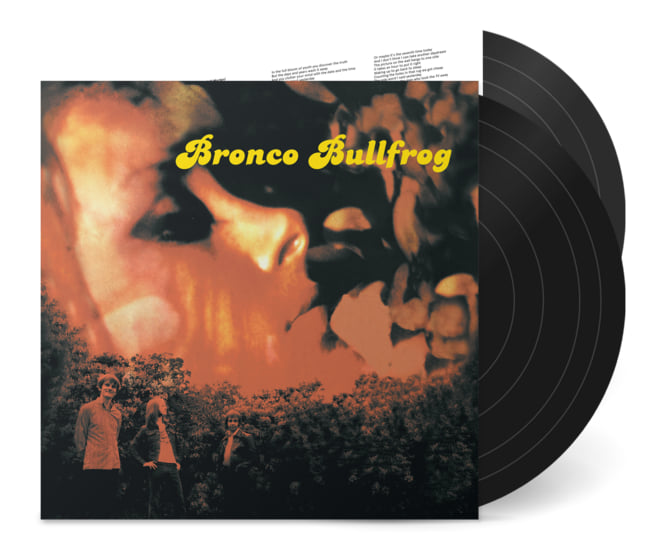 その他 Bronco Bullfrog [DVD] 71DrqXuOzHL._AC_SY200_QL15_.jpg