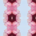 j___w___b thumbnail