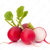 Radish thumbnail